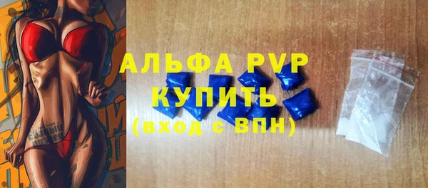 стаф Балахна