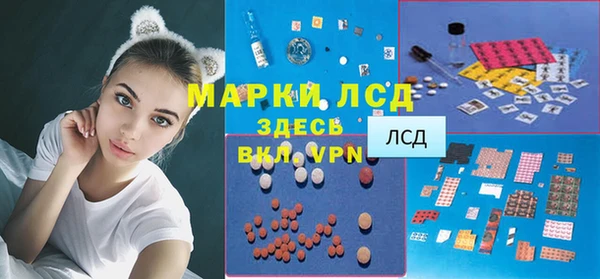 стаф Балахна