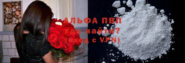 стаф Балахна