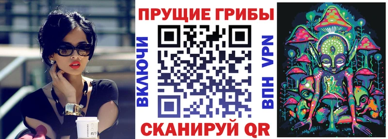 Псилоцибиновые грибы Cubensis Устюжна