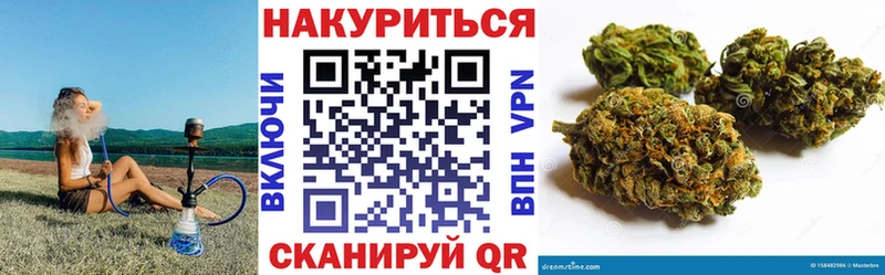 Шишки марихуана семена  даркнет наркотические препараты  Устюжна 